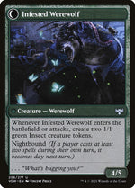 Infestation Expert (Back)