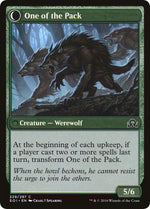 Solitary Hunter (Back)