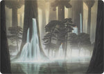 Waterlogged Grove (Art Series)