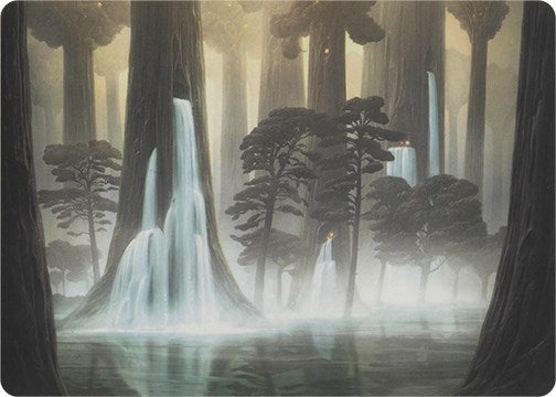 Waterlogged Grove (Art Series)