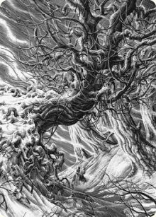 Forest Art Card
