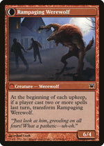 Tormented Pariah (Back)
