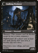 Shady Traveler (Back)