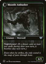 Oakshade Stalker (Back)