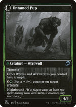 Hound Tamer (Back)