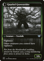 Dormant Grove (Back)