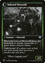 Infestation Expert (Back)