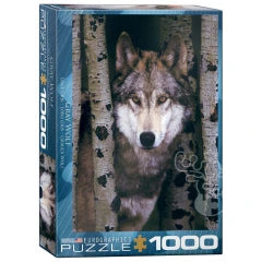 Eurographics Gray Wolf